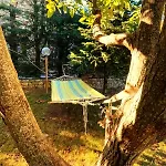 Pinecone Lodge, River Garden