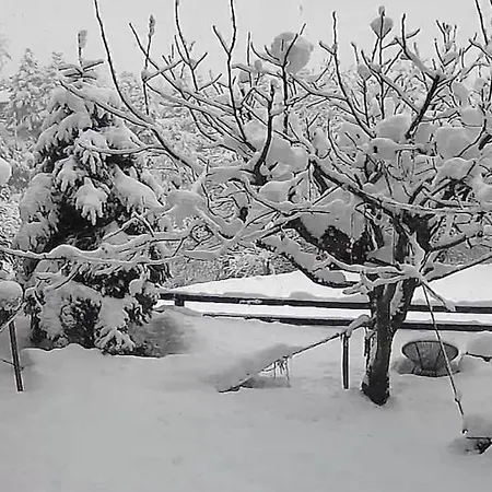 Pinecone Lodge, Wellness Garden *
