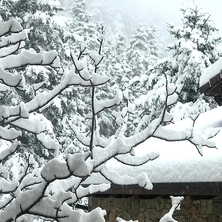 Pinecone Lodge, Wellness Garden Lejlighed