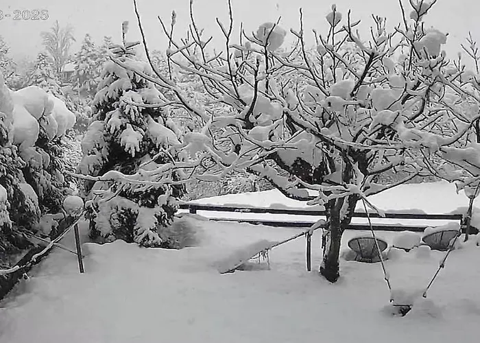 Pinecone Lodge, Wellness Garden *