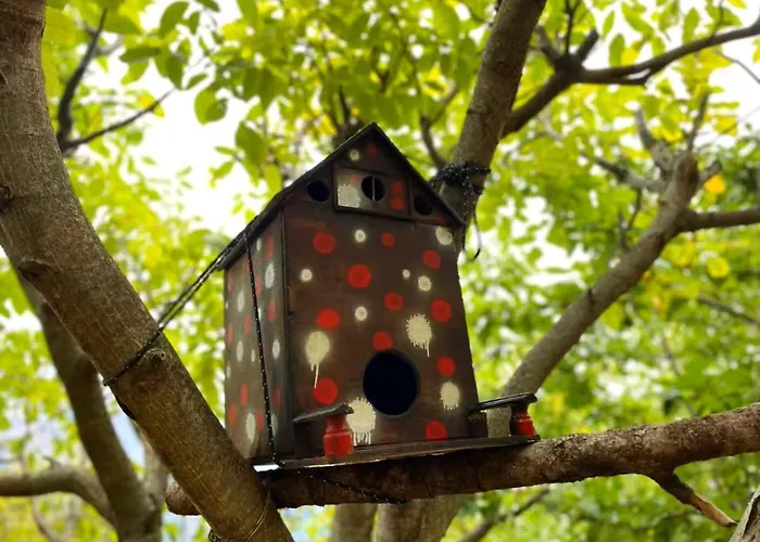 Pinecone Lodge, Wellness Garden Διαμέρισμα *