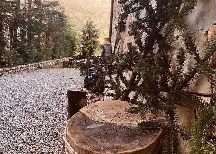 Pinecone Lodge, Wellness Garden * Επτάλοφος