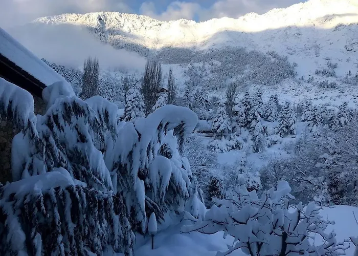 Pinecone Lodge, Wellness Garden *
