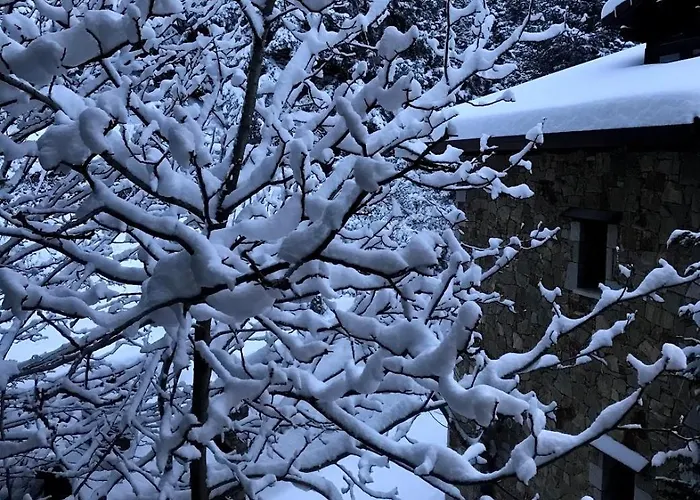 Pinecone Lodge, Wellness Garden Διαμέρισμα