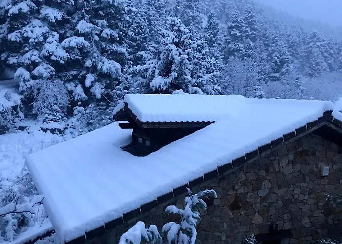 Pinecone Lodge, Wellness Garden *