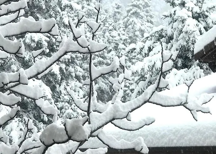 Pinecone Lodge, Wellness Garden Διαμέρισμα